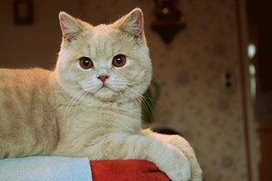 IMG_9396 [320x200]